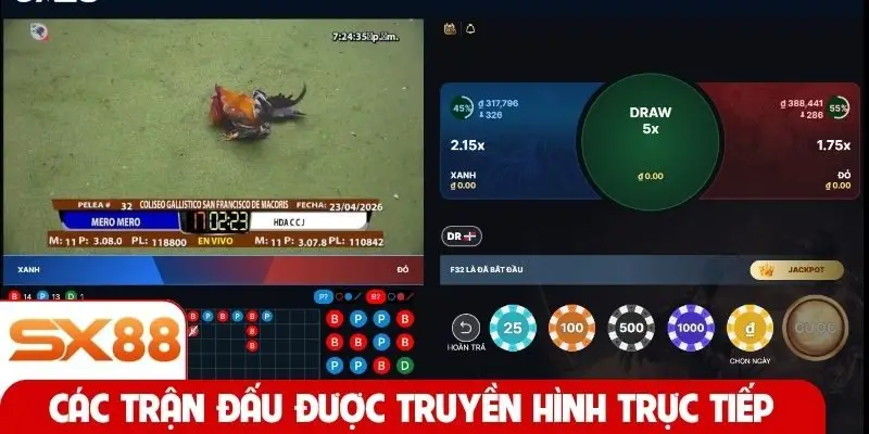 Các trận đấu được truyền hình trực tiếp