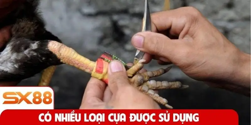 Có nhiều loại cựa được sử dụng
