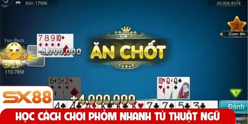 Học cách chơi Phỏm nhanh từ thuật ngữ