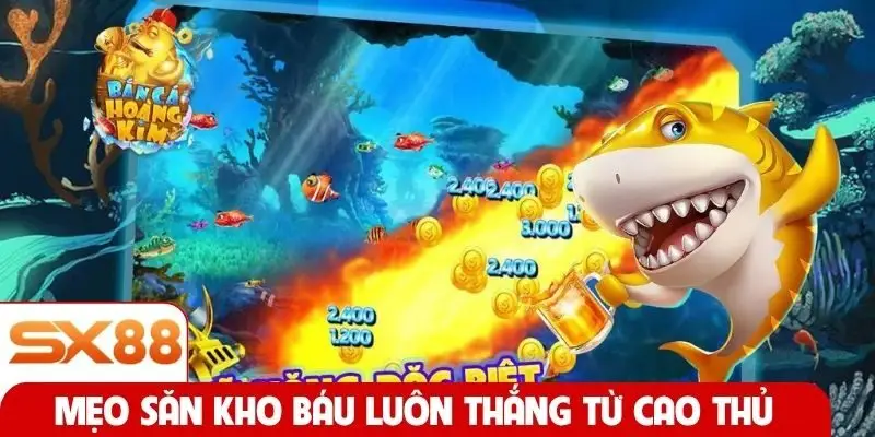Mẹo săn kho báu luôn thắng từ cao thủ