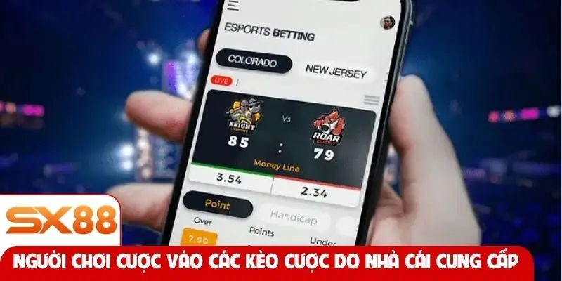 Người chơi cược vào các kèo cược do nhà cái cung cấp