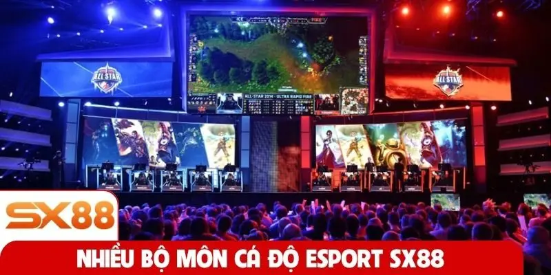 Nhiều bộ môn cá độ esport SX88